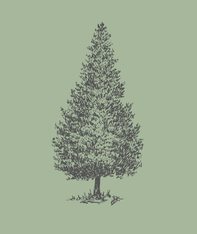 Tree Divider